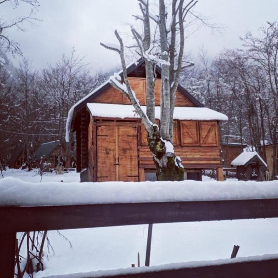 Bungalows Prokletije Gusinje 외부 사진